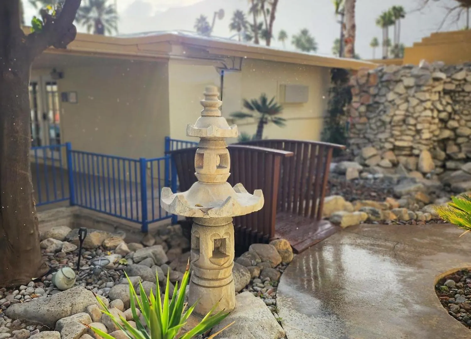 Exotic Dreams Resort Adults Only Palm Springs Hotel